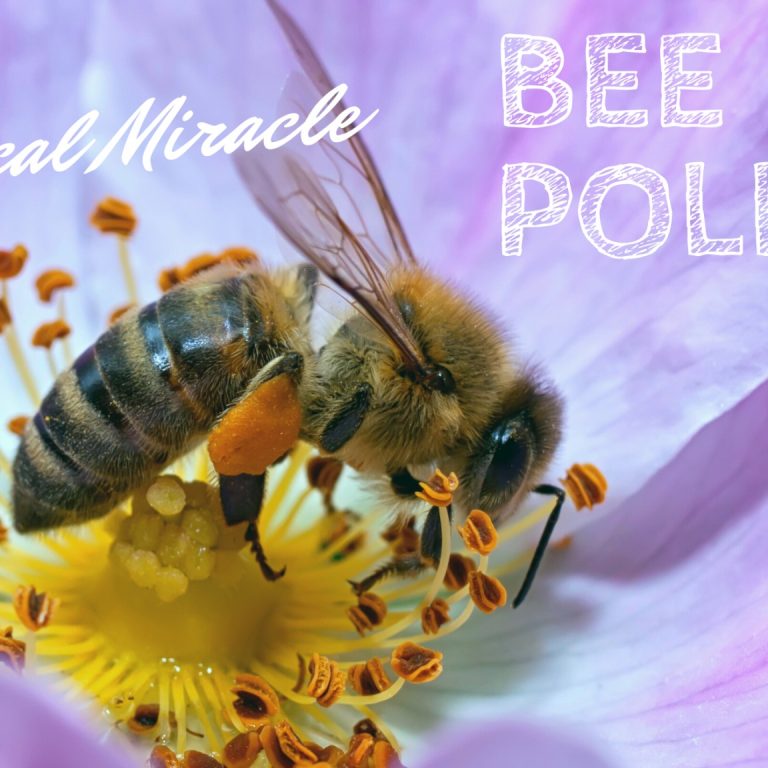 Bee-Pollen
