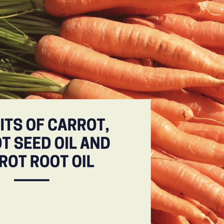 Benefits-Of-Carrot-Carrot-Seed-Oil-And-Carrot-Root-Oil
